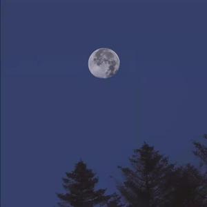 飞向月球（Cover:蒋先贵）（翻自 蒋先贵）