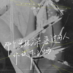 那个曾经深爱过的人你放下了吗 (DJ九零版)