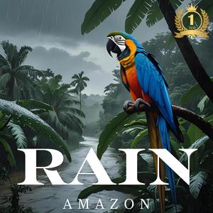 Rain Awakens the Jungle雨唤醒雨林