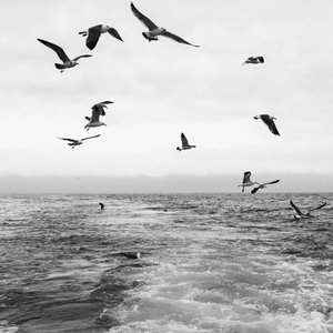 demo-有事候-流行+摇滚