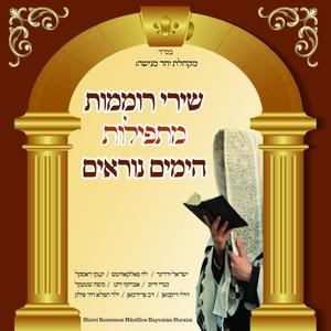 Zochreini Lchayim Medley