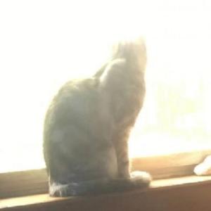 初愿（Prod by.ChunLi128）