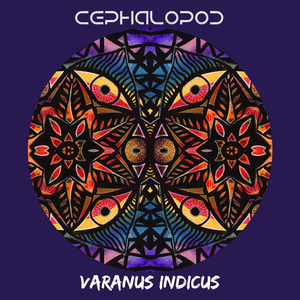 Varanus Indicus