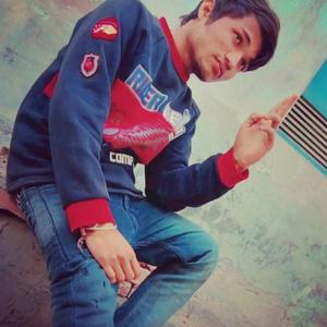 Bawli Kudi