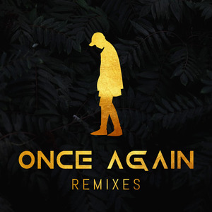 Once Again (Vincenz Remix)