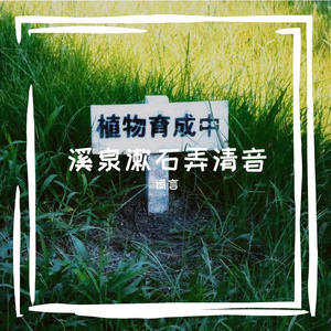 溪泉漱石弄清音