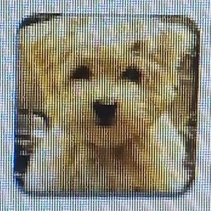 私には夢中ではない