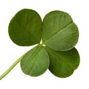 we are the Lucky Ones in the North