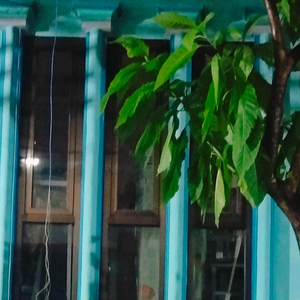 सुंदरी मैं तुमसे प्यार करता हूँ