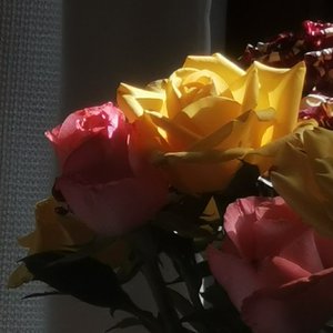 爱的练习曲