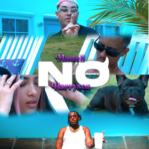No (Remix)