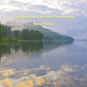 기억력을 향상시키는 시냇물소리