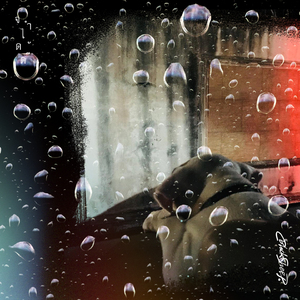 จำได้ดี