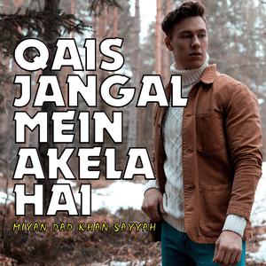 Qais Jangal Mein Akela Hai