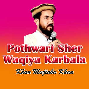 Pothwari Sher Waqiya Karbala