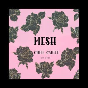 MESH