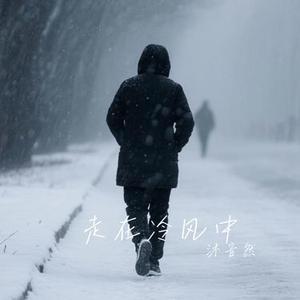 走在冷风中 (Cover 刘思涵)