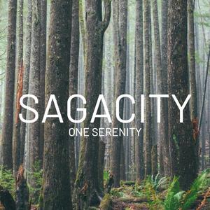 SAGACITY
