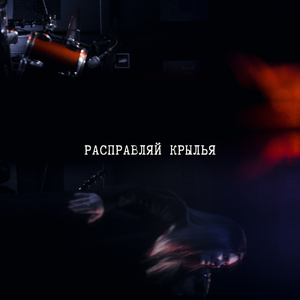 Расправляй крылья