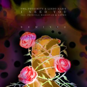 I Need You (feat. Friscila Marisyah & LATRO) [Drian Vinar Remix]