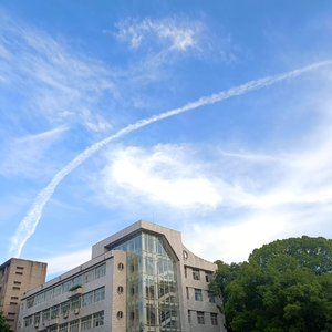 red high-heeled shoes