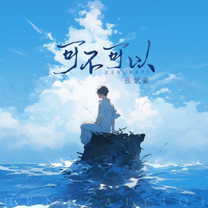 张紫豪 - 可不可以(抖音DJ版)