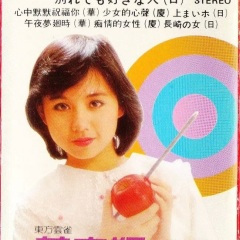 襟裳岬 / 沙灘上的歌聲