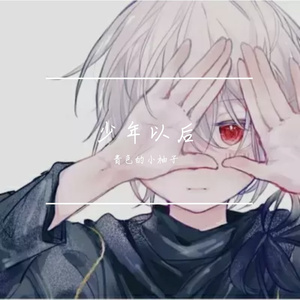 少年以后