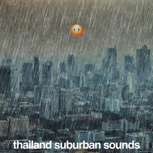 ranong, rain on broad leaves