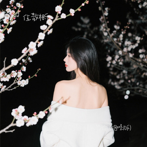 只有月亮知道我想你 (烟嗓版)