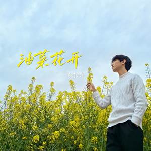 油菜花开