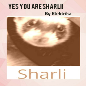Yes You Are Sharli!