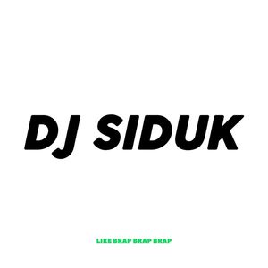 Like Brap Brap Brap (feat. Dj Suro REMIX)