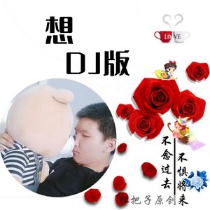 想（DJ版）