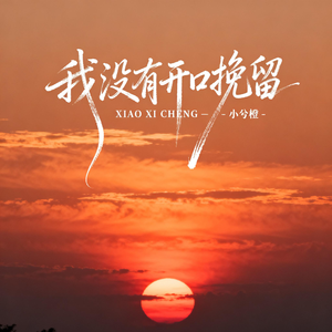 我没有开口挽留