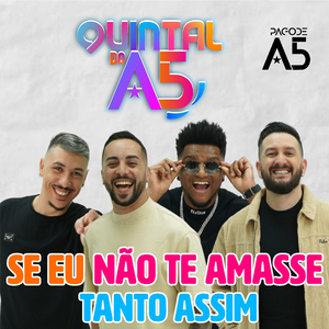 Se Eu Não Te Amasse Tanto Assim