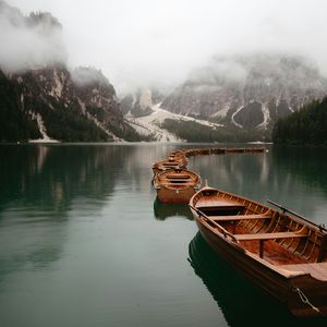 《雾沾绿萝叶片》