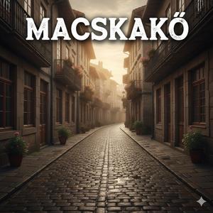 Macskakő