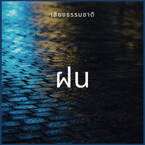 เสียงธรรมชาติ: ฝน, ตอนที่ 49