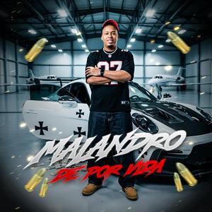 Malandro De Por Vida