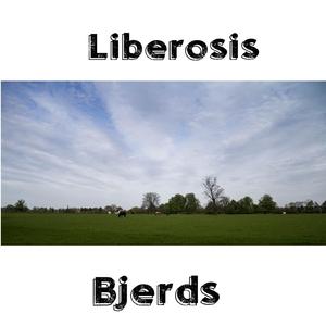 Liberosis