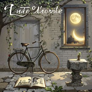 月光下的自行车_天涯若比邻