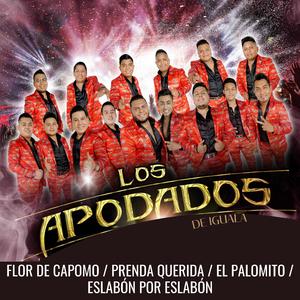 Flor de Capomo / Prenda Querida / El Palomito / Eslabón por Eslabón