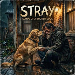 Stray