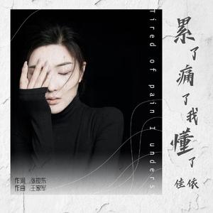 累了痛了我懂了