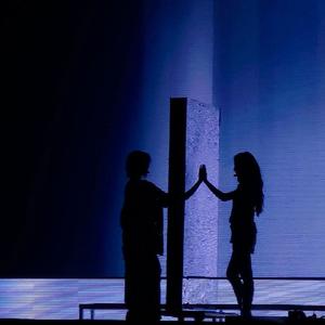 กุหลาบ（玫瑰）