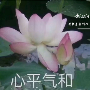 thiuain