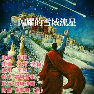 闪耀的雪域流星