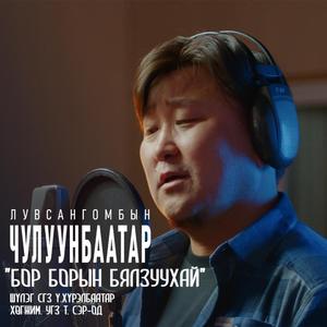 Bor boriin byalzuuhai