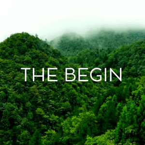 The Begin